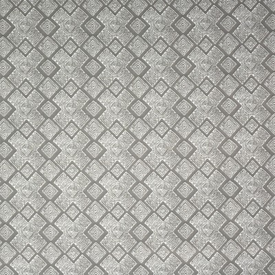 Silver State Cape Town Lemur